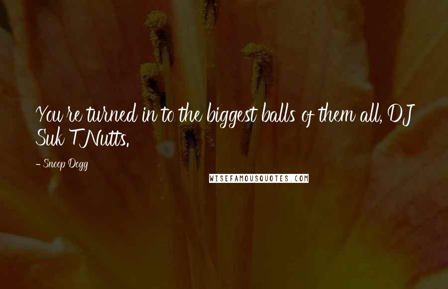 Snoop Dogg Quotes: You're turned in to the biggest balls of them all, DJ Suk T Nutts.