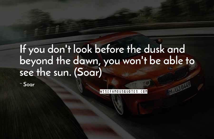 Soar Quotes: If you don't look before the dusk and beyond the dawn, you won't be able to see the sun. (Soar)