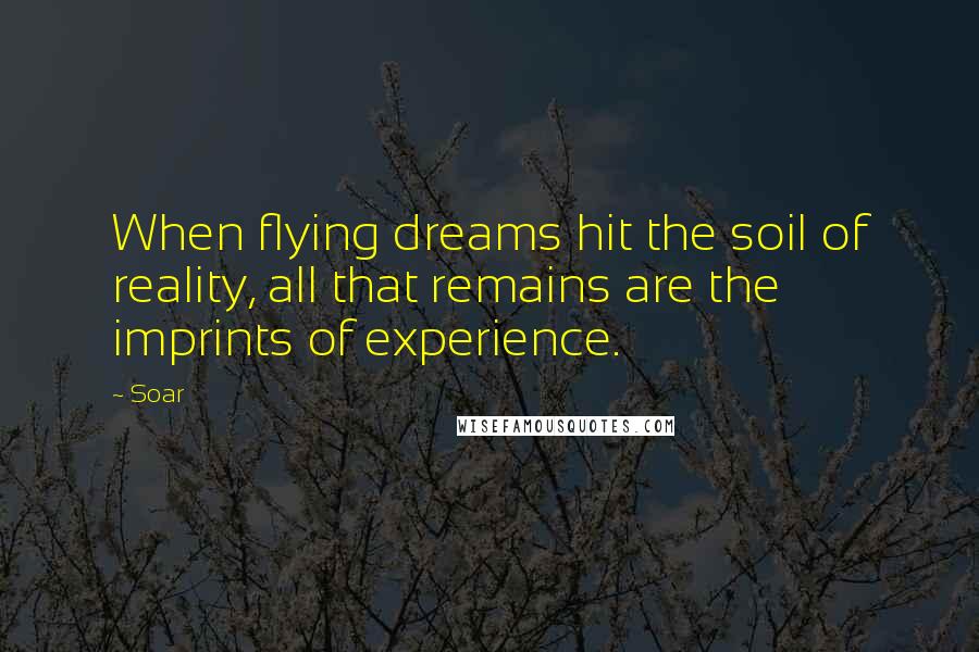 Soar Quotes: When flying dreams hit the soil of reality, all that remains are the imprints of experience.