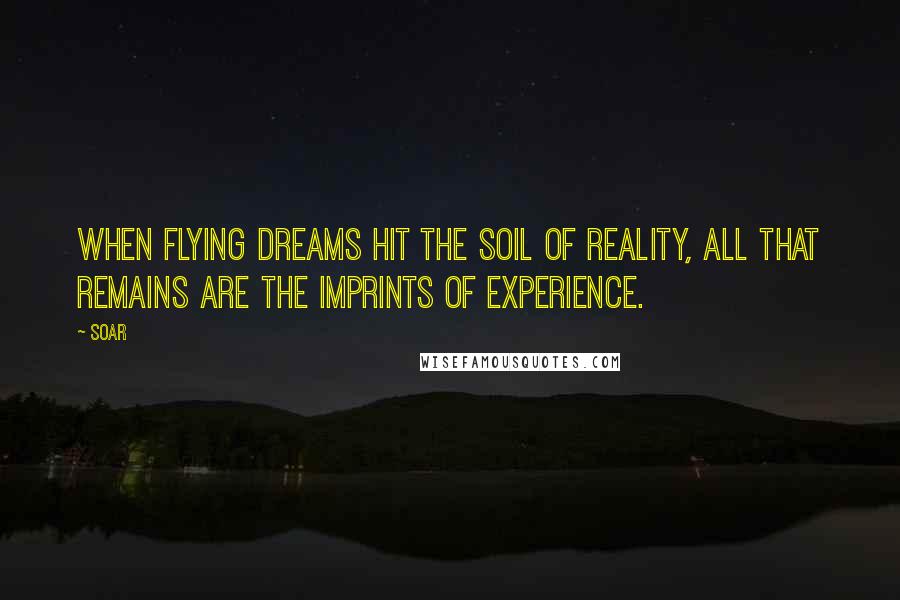 Soar Quotes: When flying dreams hit the soil of reality, all that remains are the imprints of experience.