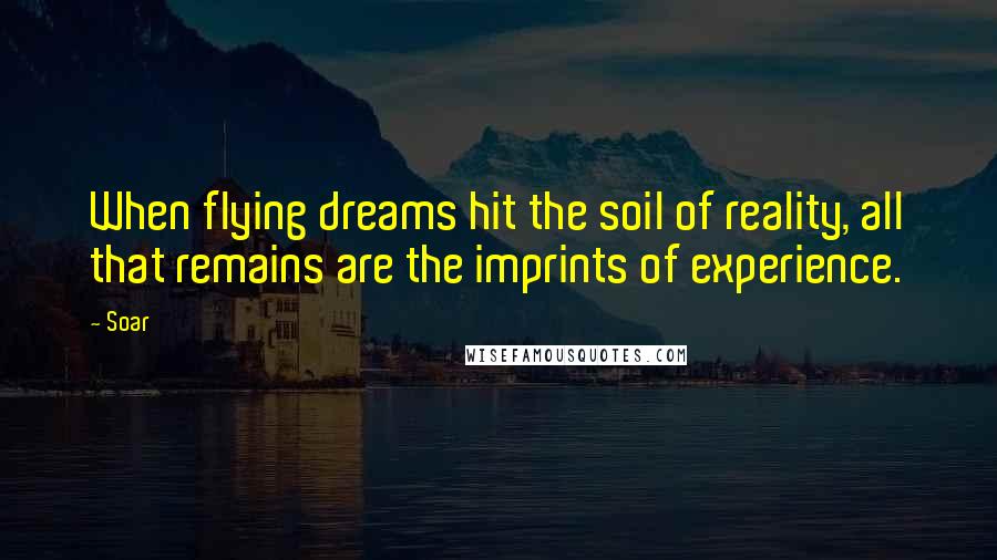 Soar Quotes: When flying dreams hit the soil of reality, all that remains are the imprints of experience.