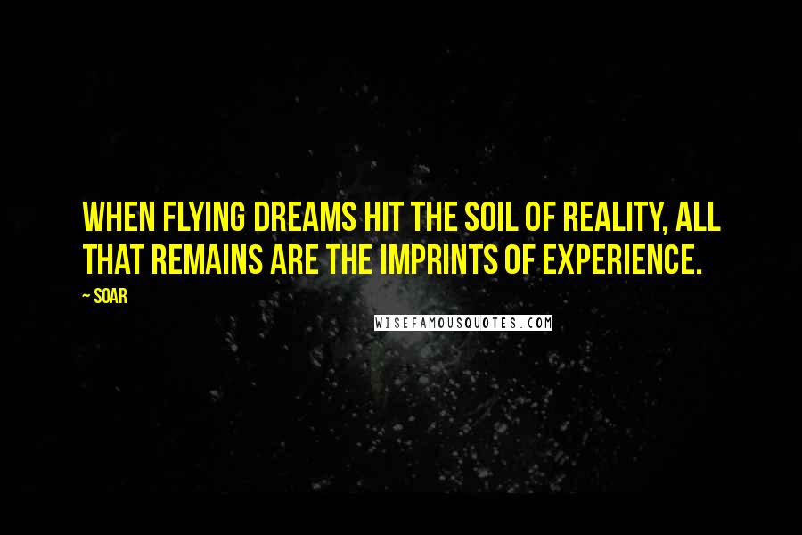 Soar Quotes: When flying dreams hit the soil of reality, all that remains are the imprints of experience.