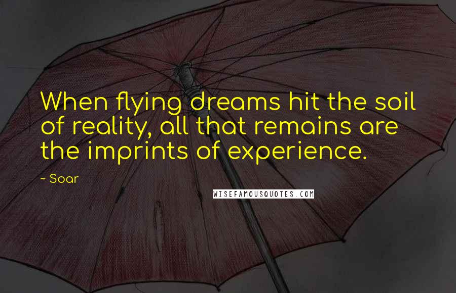Soar Quotes: When flying dreams hit the soil of reality, all that remains are the imprints of experience.