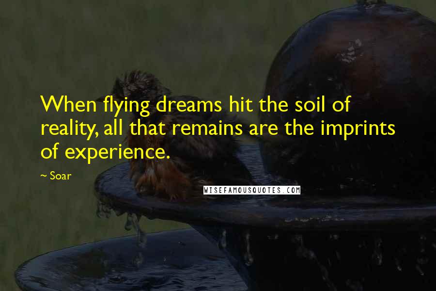 Soar Quotes: When flying dreams hit the soil of reality, all that remains are the imprints of experience.