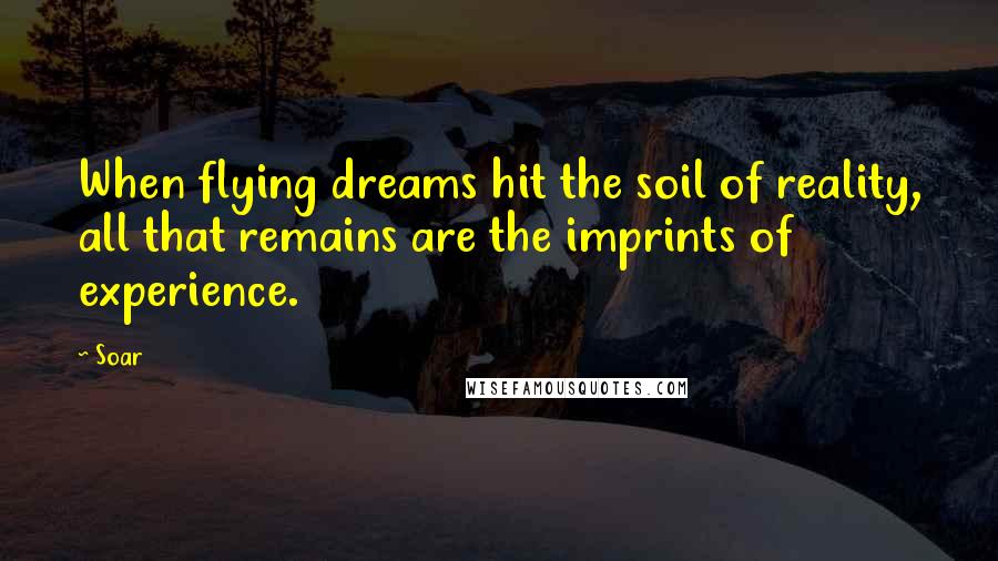 Soar Quotes: When flying dreams hit the soil of reality, all that remains are the imprints of experience.