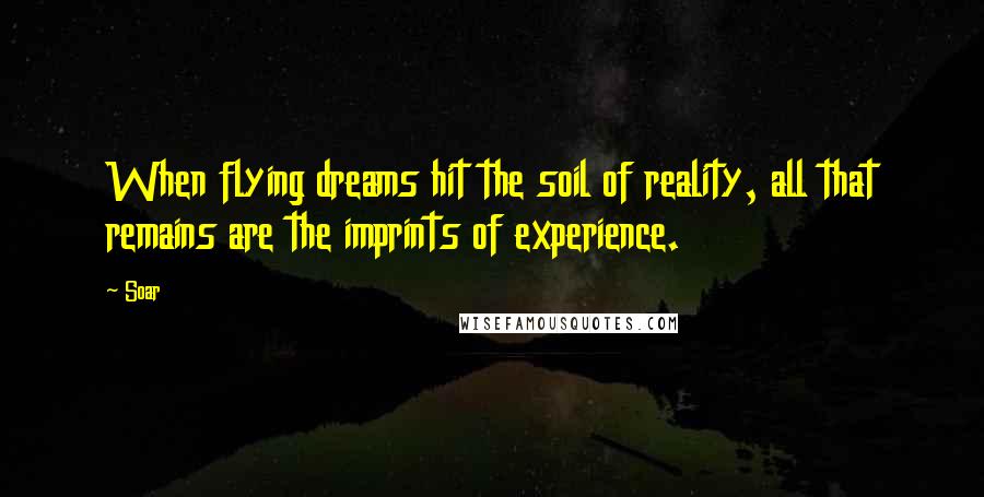 Soar Quotes: When flying dreams hit the soil of reality, all that remains are the imprints of experience.