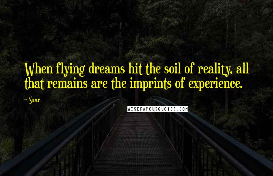 Soar Quotes: When flying dreams hit the soil of reality, all that remains are the imprints of experience.