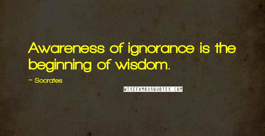 Socrates Quotes: Awareness of ignorance is the beginning of wisdom.