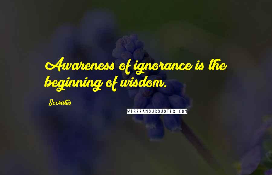 Socrates Quotes: Awareness of ignorance is the beginning of wisdom.