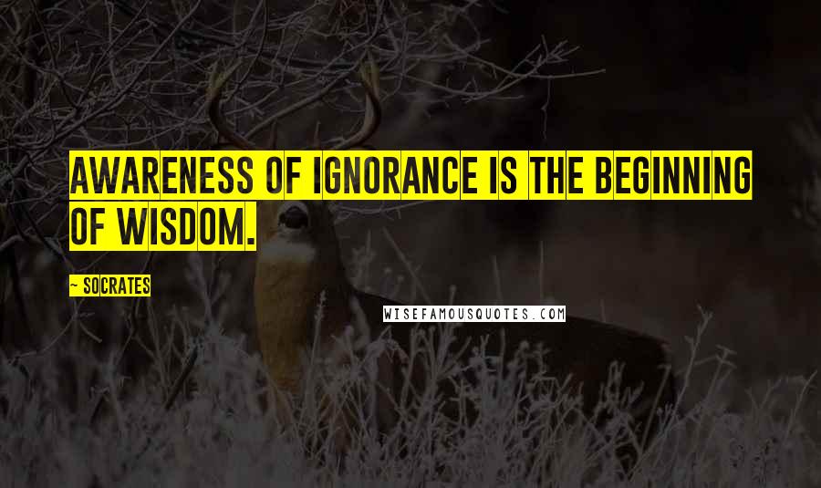 Socrates Quotes: Awareness of ignorance is the beginning of wisdom.