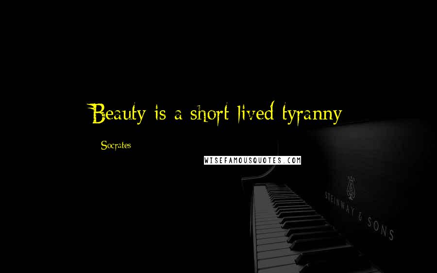 Socrates Quotes: Beauty is a short-lived tyranny