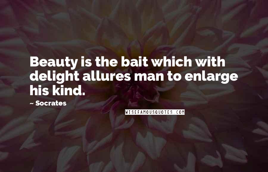 Socrates Quotes: Beauty is the bait which with delight allures man to enlarge his kind.