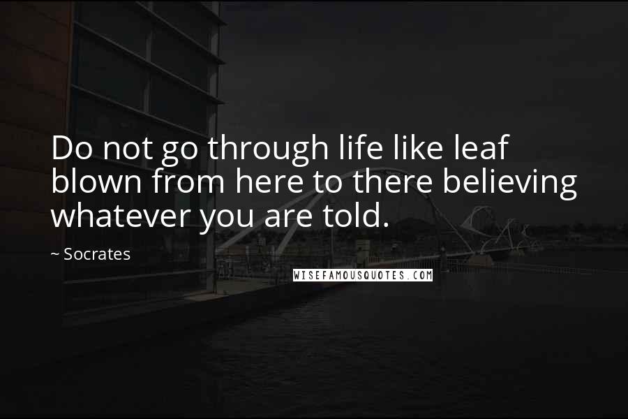 Socrates Quotes: Do not go through life like leaf blown from here to there believing whatever you are told.