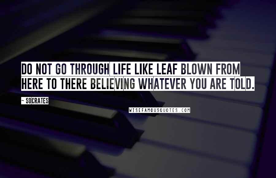 Socrates Quotes: Do not go through life like leaf blown from here to there believing whatever you are told.