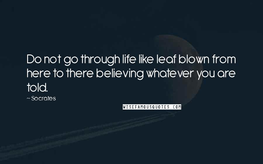 Socrates Quotes: Do not go through life like leaf blown from here to there believing whatever you are told.