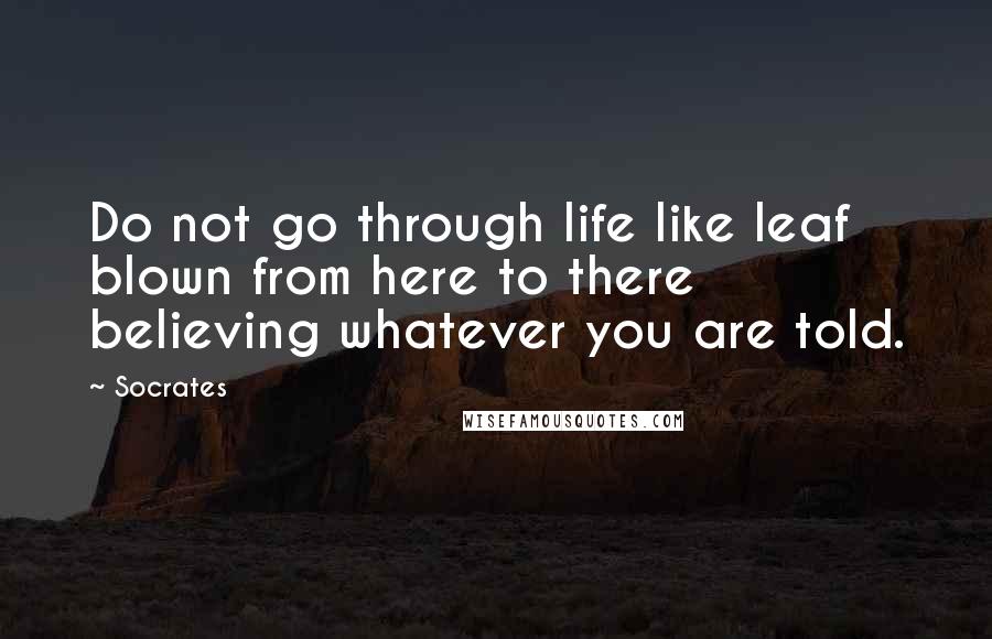 Socrates Quotes: Do not go through life like leaf blown from here to there believing whatever you are told.