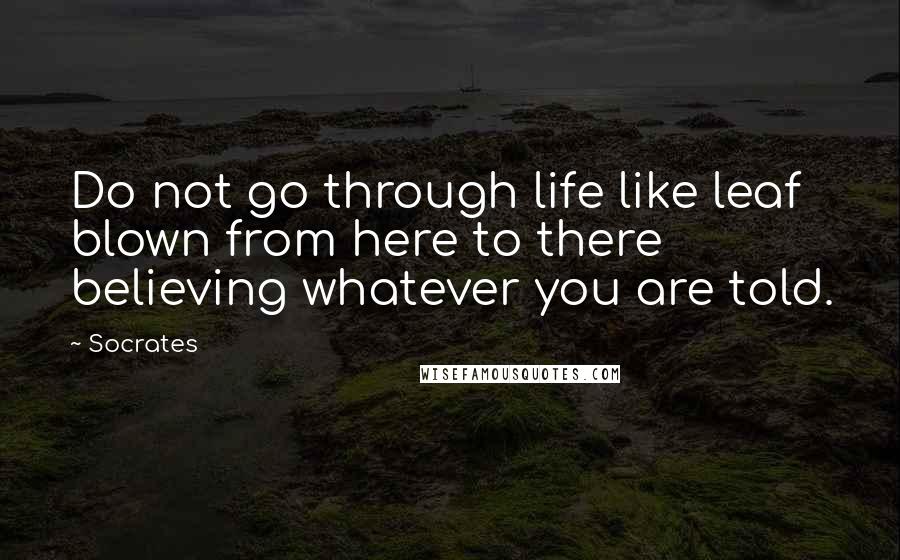 Socrates Quotes: Do not go through life like leaf blown from here to there believing whatever you are told.