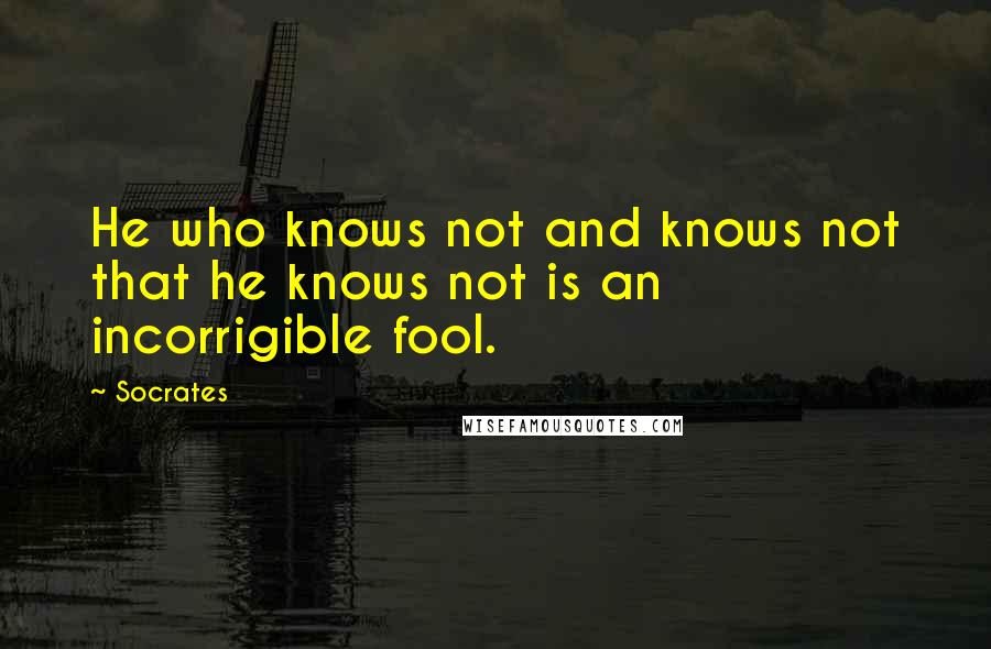 Socrates Quotes: He who knows not and knows not that he knows not is an incorrigible fool.
