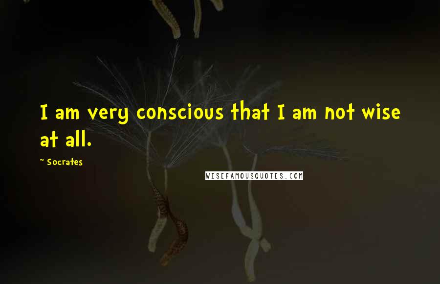 Socrates Quotes: I am very conscious that I am not wise at all.