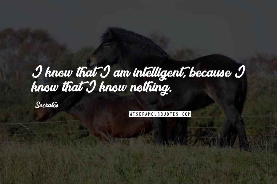 Socrates Quotes: I know that I am intelligent, because I know that I know nothing.