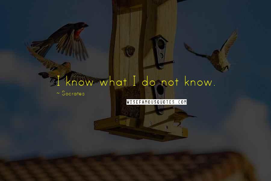 Socrates Quotes: I know what I do not know.