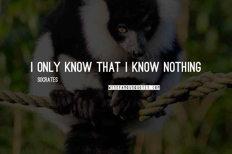 Socrates Quotes: I only know that I know nothing