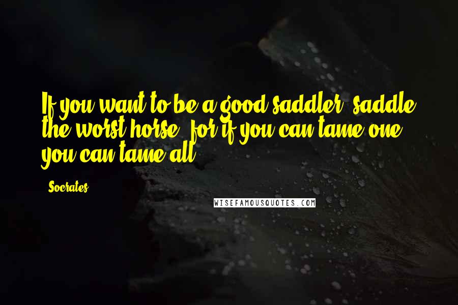 Socrates Quotes: If you want to be a good saddler, saddle the worst horse; for if you can tame one, you can tame all.