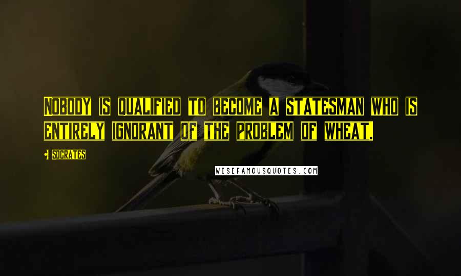 Socrates Quotes: Nobody is qualified to become a statesman who is entirely ignorant of the problem of wheat.