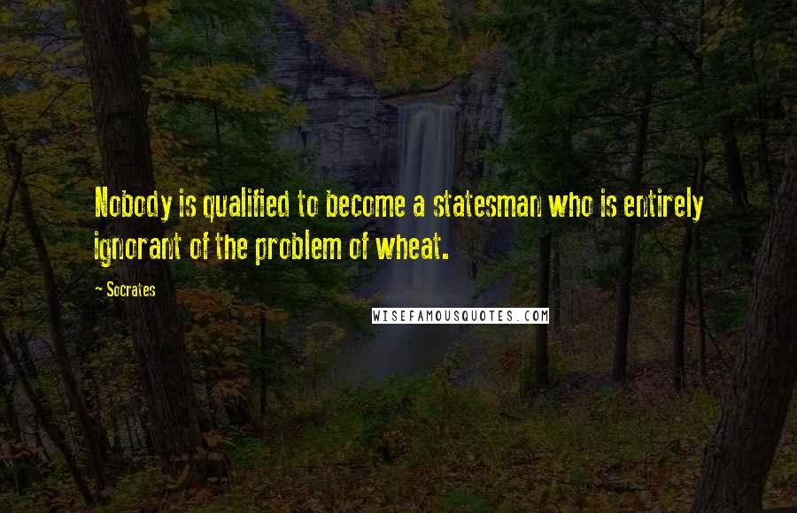 Socrates Quotes: Nobody is qualified to become a statesman who is entirely ignorant of the problem of wheat.