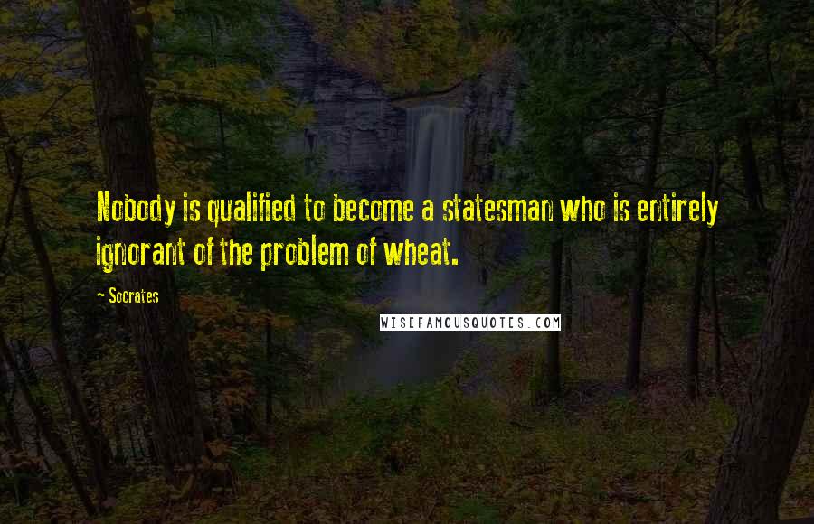 Socrates Quotes: Nobody is qualified to become a statesman who is entirely ignorant of the problem of wheat.