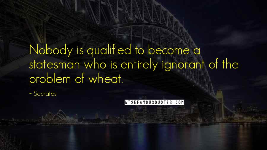 Socrates Quotes: Nobody is qualified to become a statesman who is entirely ignorant of the problem of wheat.