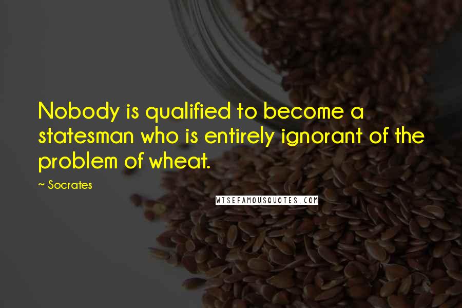 Socrates Quotes: Nobody is qualified to become a statesman who is entirely ignorant of the problem of wheat.