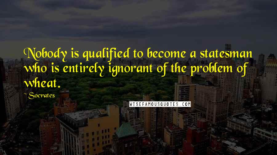 Socrates Quotes: Nobody is qualified to become a statesman who is entirely ignorant of the problem of wheat.