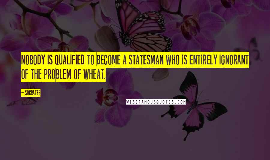 Socrates Quotes: Nobody is qualified to become a statesman who is entirely ignorant of the problem of wheat.