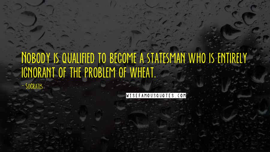 Socrates Quotes: Nobody is qualified to become a statesman who is entirely ignorant of the problem of wheat.