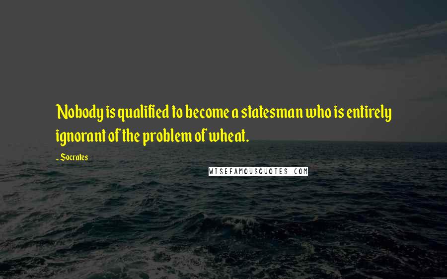 Socrates Quotes: Nobody is qualified to become a statesman who is entirely ignorant of the problem of wheat.