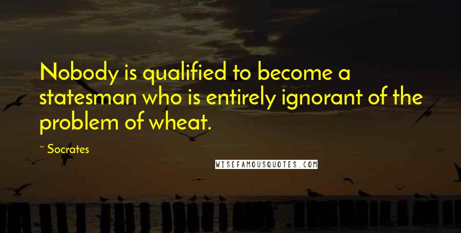 Socrates Quotes: Nobody is qualified to become a statesman who is entirely ignorant of the problem of wheat.