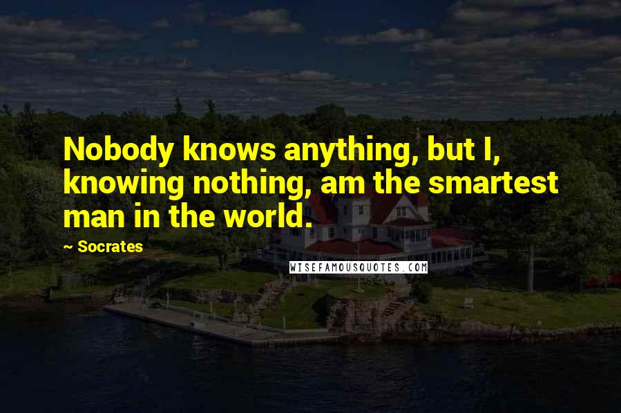 Socrates Quotes: Nobody knows anything, but I, knowing nothing, am the smartest man in the world.