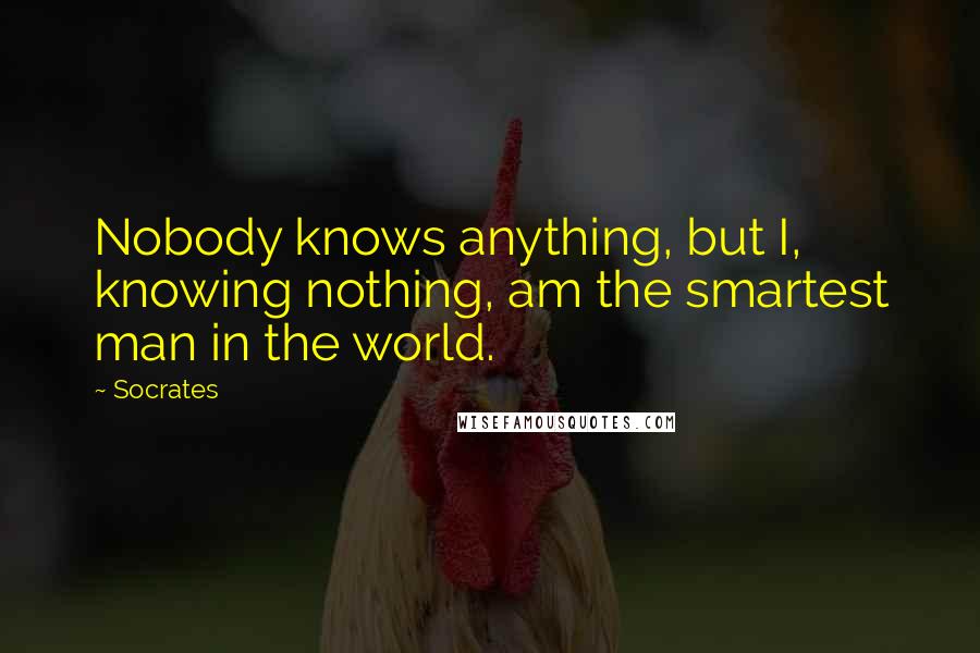 Socrates Quotes: Nobody knows anything, but I, knowing nothing, am the smartest man in the world.