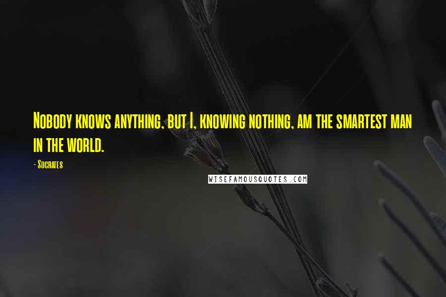Socrates Quotes: Nobody knows anything, but I, knowing nothing, am the smartest man in the world.