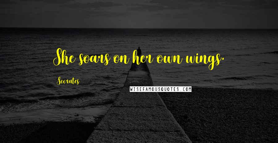 Socrates Quotes: She soars on her own wings.