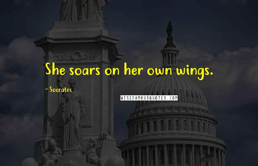 Socrates Quotes: She soars on her own wings.