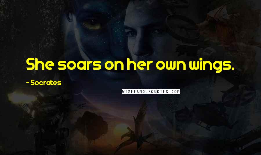 Socrates Quotes: She soars on her own wings.