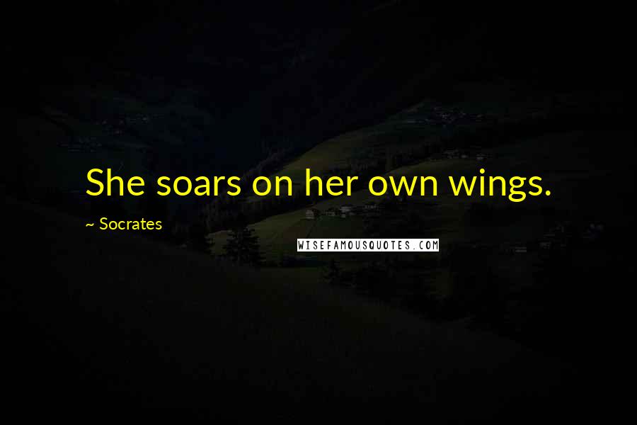 Socrates Quotes: She soars on her own wings.