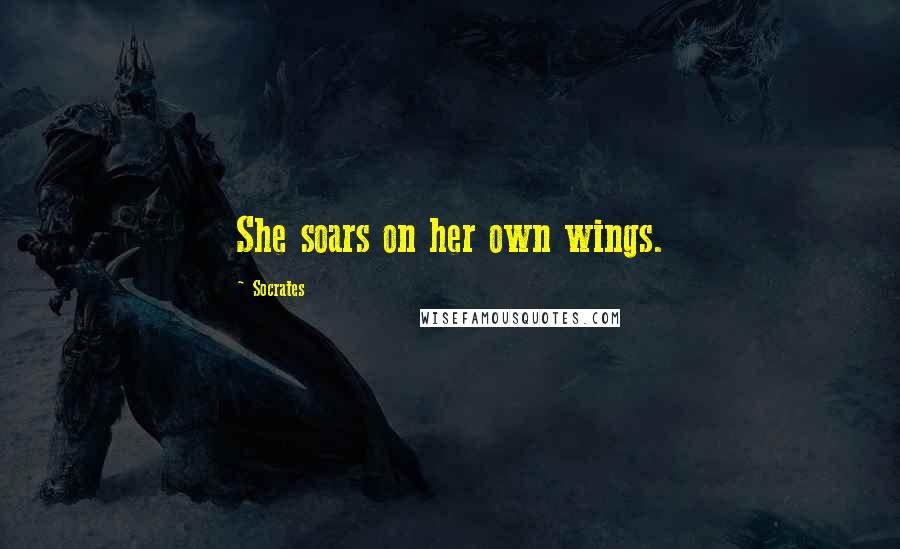 Socrates Quotes: She soars on her own wings.