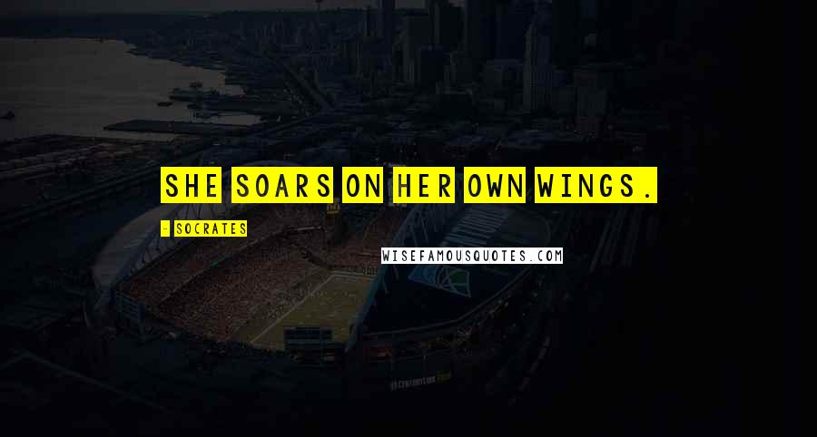 Socrates Quotes: She soars on her own wings.