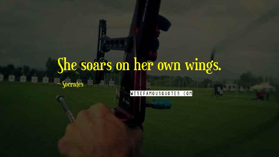Socrates Quotes: She soars on her own wings.