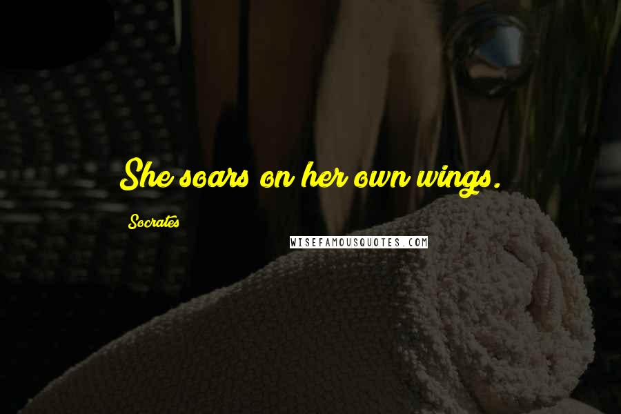 Socrates Quotes: She soars on her own wings.