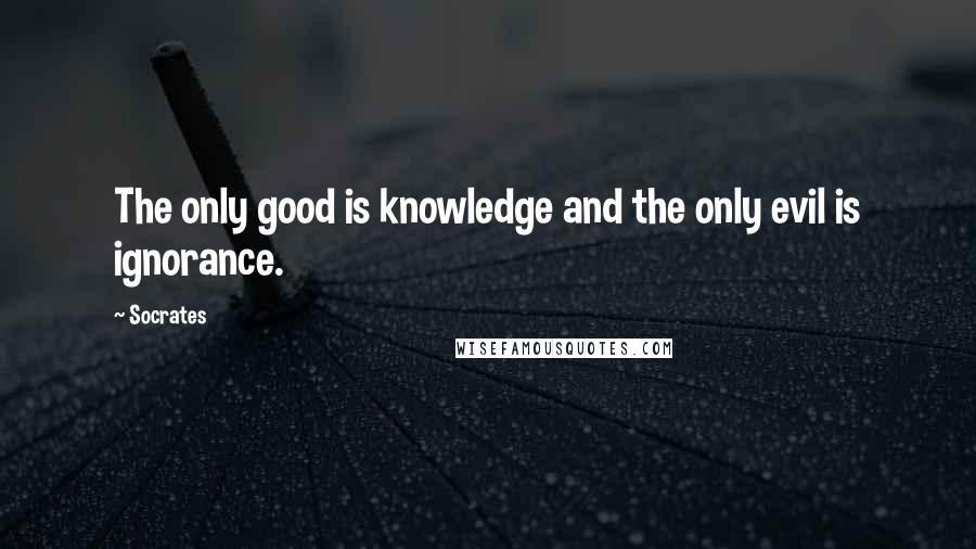 Socrates Quotes: The only good is knowledge and the only evil is ignorance.