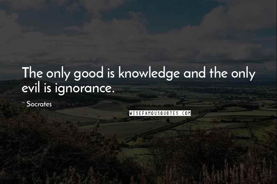 Socrates Quotes: The only good is knowledge and the only evil is ignorance.